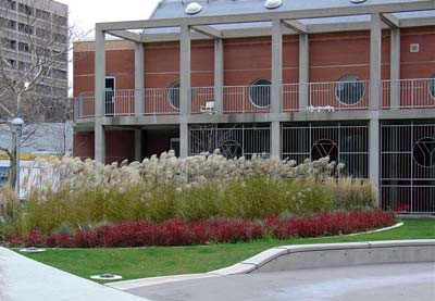 leaf garden image