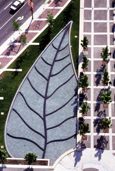 perennials image